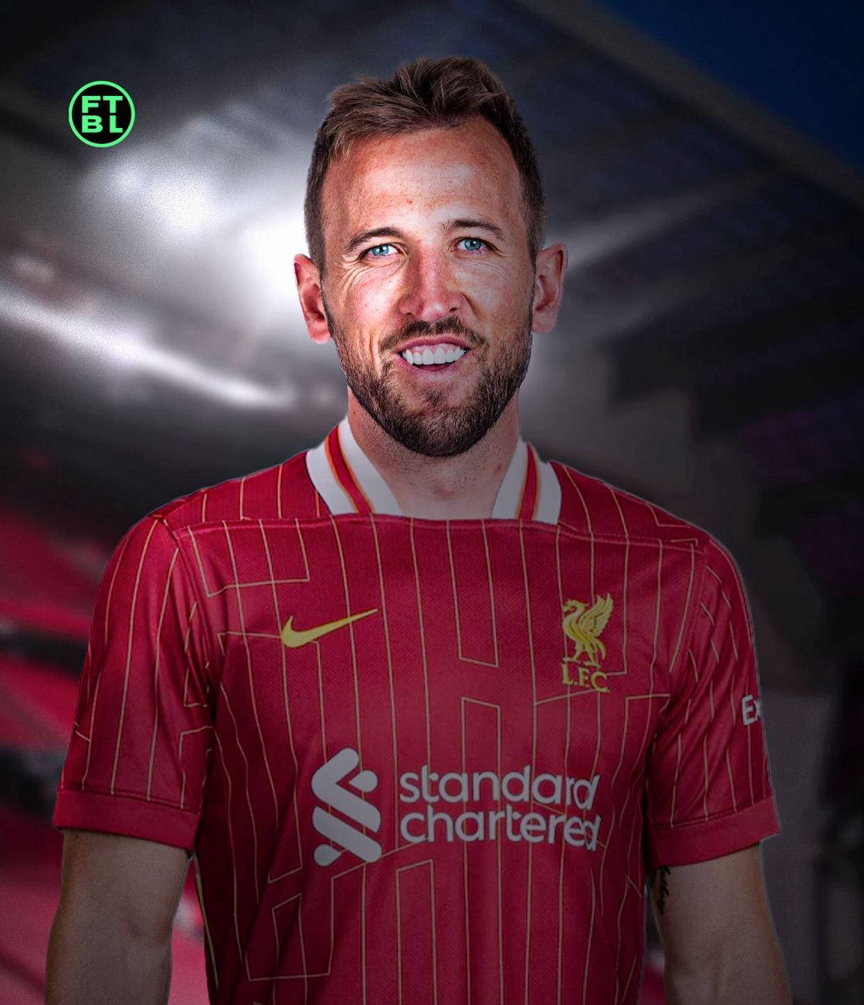 费的评价不 费的评价不