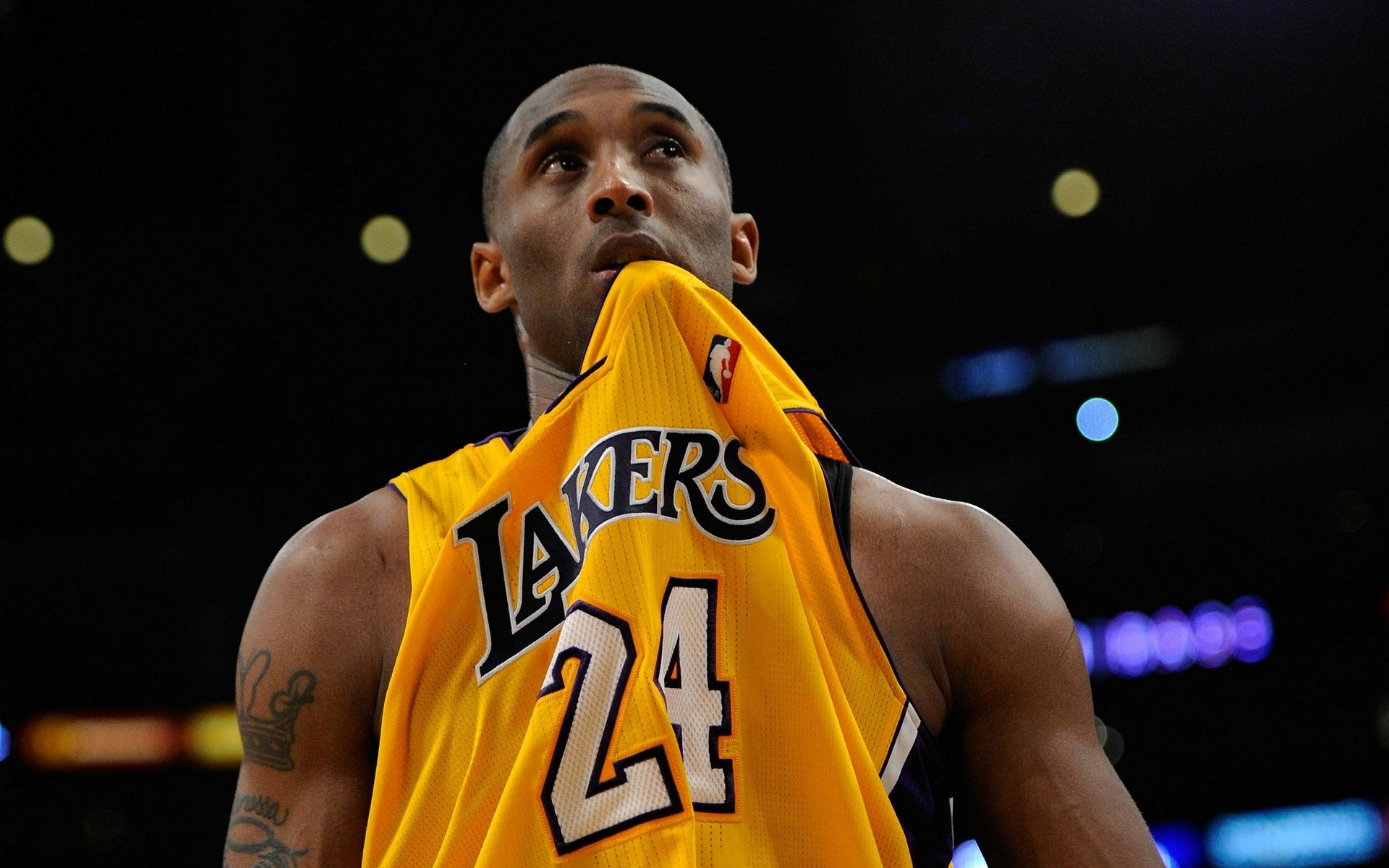 埃弗顿门将 埃弗顿门将